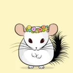 mychinchilla android application logo